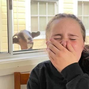 Meet your Posher, Lorelai